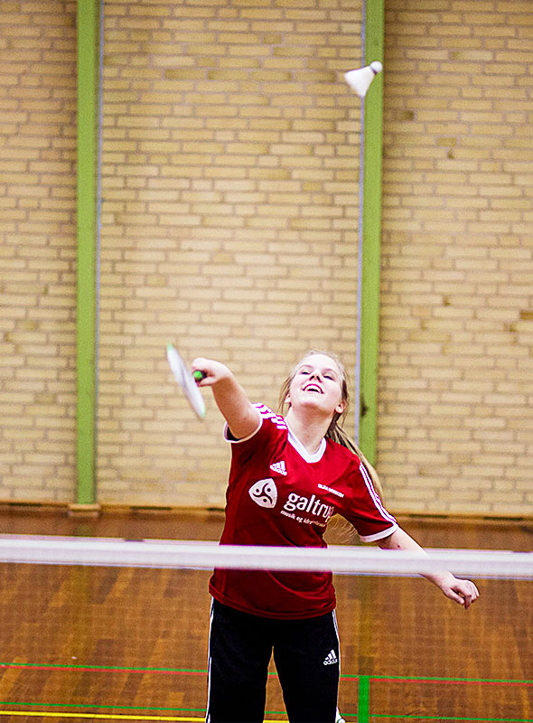 Sport Badminton